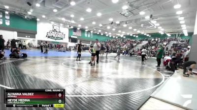 101 lbs Cons. Round 3 - Alyanna Valdez, Hesperia vs Heyde Medina, Long Beach Poly