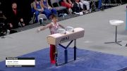 Asher Cohen - Pommel Horse, 5280 Gymnastics - 2021 US Championships
