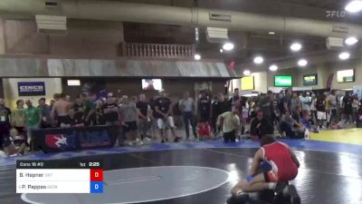 74 kg Cons 16 #2 - Bryce Hepner, Ohio RTC / TMWC vs Peter Pappas, George Mason