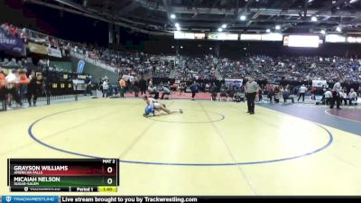 3A 138 lbs Quarterfinal - Grayson Williams, American Falls vs Micaiah Nelson, Sugar-Salem