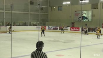 Replay: Home - 2023 Penguins U12 vs Ottawa 67s U12 | Nov 24 @ 4 PM