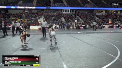 80 lbs Quarterfinal - Graham Schmidt, Brawlers vs Ethan Holub, Council Grove