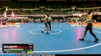 141 lbs Round 3 (3 Team) - Collin Wickramaratna, Kutztown vs Grant Brammer, Liberty University