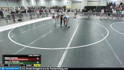 144 lbs Cons. Round 3 - Bailey Peichel, Garlington Training Center vs Diego Gauna, South Central Punisher Wrestling