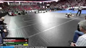 D2-132 lbs Quarterfinal - Caleb Delebreau, Luxemburg-Casco vs Bryce Crowley, Omro