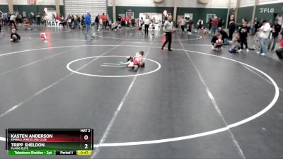 46 lbs Quarterfinal - Tripp Sheldon, Plains Elite vs Kasten Anderson, Kimball Wrestling Club