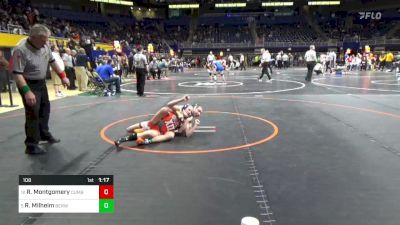 108 lbs Round Of 16 - Reese Montgomery, Cumberland Valley vs Raegan Milheim, Berwick