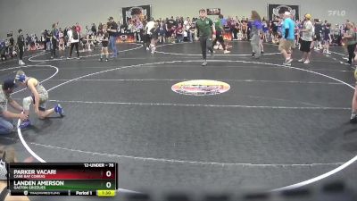 76 lbs Semifinal - Landen Amerson, Gaston Grizzlies vs Parker Vacari, Cane Bay Cobras