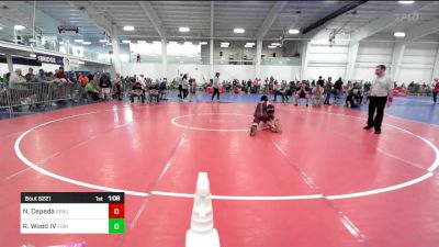 118 lbs Round Of 16 - Noah Cepeda, Spaulding vs Ronald Wood IV, Fisheye WC