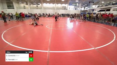 81 lbs Consi Of 8 #1 - Daniel Candullo, Newtown vs Graham Fernald, Smitty's Wrestling Barn