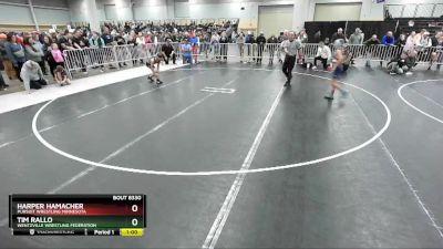 82 lbs Quarterfinal - Tim Rallo, Wentzville Wrestling Federation vs Harper Hamacher, Pursuit Wrestling Minnesota