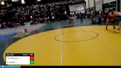 210-224 lbs Round 2 - Wyatt Anderson, Amherst vs Alijah Utecht, Seward