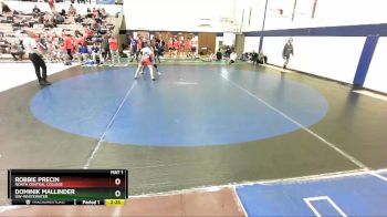 133 lbs Quarterfinal - Robbie Precin, North Central College vs Dominik Mallinder, UW-Whitewater