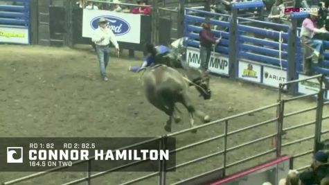 Highlights: See The Aggregate Winners From Canadian Western Agribition