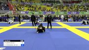 PATRICIA COSTA SILVA vs ERIKA FERNANDA DE GODOI RODRIGUE 2024 Brasileiro Jiu-Jitsu IBJJF