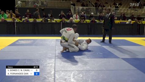 VICENTE GOMES C. N. CAVALCANTI vs ALEXANDRE FERNANDES DANTAS 2024 Pan Jiu Jitsu IBJJF Championship