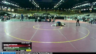 145 lbs Champ. Round 1 - Emmanuel Celestin, Mater Lakes Academy vs Banks Bitterman, Mill Creek