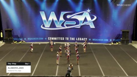 ALABAMA JAGS - Alabama Tiny Jags [2022 L1.1 Tiny -Prep Day 1] 2022 WSA Mobile