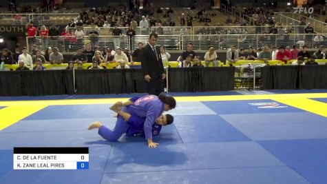CHRISTIAN DE LA FUENTE vs KADEN ZANE LEAL PIRES 2024 Pan Jiu Jitsu IBJJF Championship