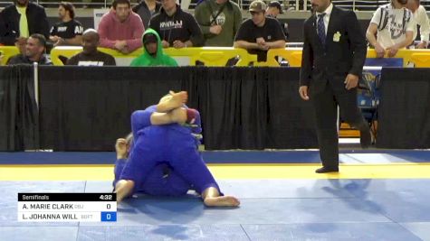 LEAH JOHANNA WILLS vs ASHLEY MARIE CLARK 2024 Pan Jiu Jitsu IBJJF Championship