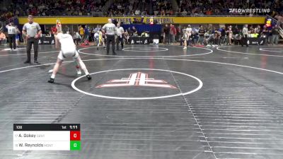 108 lbs Round Of 32 - Adalyn Gokey, Central Cambria vs Willow Reynolds, Montgomery