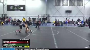 88 lbs Finals (2 Team) - Collin Furgeson, Armory Athletics vs Dominic Spennato, Mat Attack