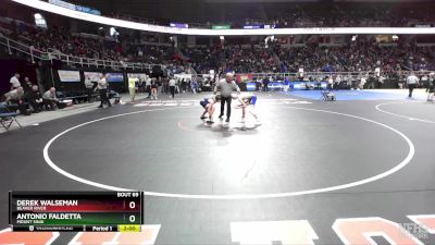 II-102 lbs Champ. Round 1 - Derek Walseman, Beaver River vs Antonio Faldetta, Mount Sinai