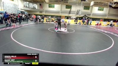 40 lbs Cons. Round 1 - Amaya Mills, Lockwood vs Ramzi Veit, Timber Lake Youth Wrestling