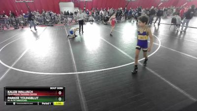 67 lbs Quarterfinal - Kaleb Wallisch, Team Nazar Training Center vs Parker Youngblut, DC Elite Wrestling