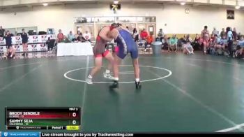 136 lbs Round 2 (8 Team) - Brody Sendele, Illinois vs Sammy Seja, California