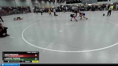 138 lbs Cons. Round 4 - Landon Thomas, Michigan West Wrestling Club vs Jace Province, Oklahoma Wrestling Academy