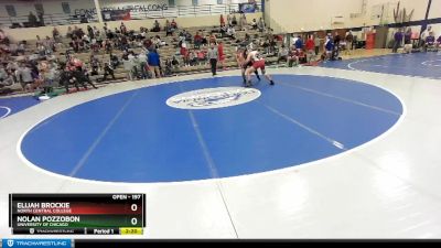 197 lbs Cons. Round 4 - Elijah Brockie, North Central College vs Nolan Pozzobon, University Of Chicago