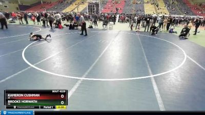 58 lbs Semifinal - Brooks Horwath, MI vs Kameron Cushman, IA