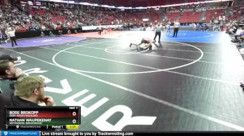 D3-195 lbs Champ. Round 1 - Bode Brokopp, Iowa-Grant/Highland vs Nathan Waupekenay, Wittenberg-Birnamwood