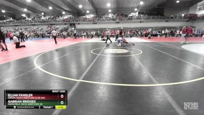 120 lbs Champ. Round 2 - Gabrian Bridges, Marshfield Youth Wrestling-AA  vs Elijah Fansler, Odessa Youth Wrestling Club-AAA