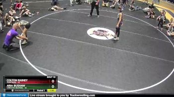 65 lbs Round 4 (6 Team) - Colton Rainey, Team Bear vs Aria Bushaw, Carolina Reapers