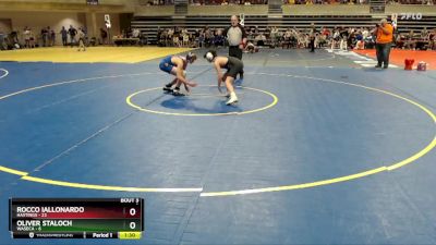 135 lbs Placement (4 Team) - Rocco Iallonardo, Hastings vs Oliver Staloch, Waseca