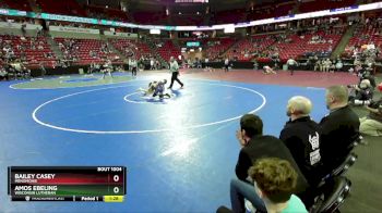 D1-106 lbs Champ. Round 1 - Amos Ebeling, Wisconsin Lutheran vs Bailey Casey, Menomonie