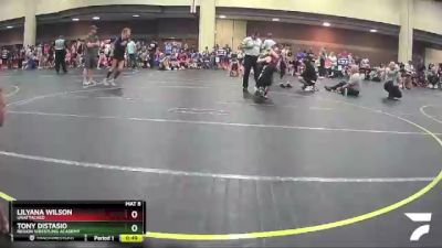 70 lbs Cons. Semi - Tony Distasio, Region Wrestling Academy vs Lilyana Wilson, Unattached