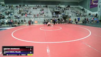 68 lbs Quarterfinal - Destiny Rodriguez, OR vs Shean`Areial Miller, MN