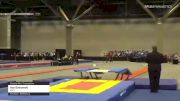 Ava Binkowski - Double Mini Trampoline, ESCX - 2021 USA Gymnastics Championships