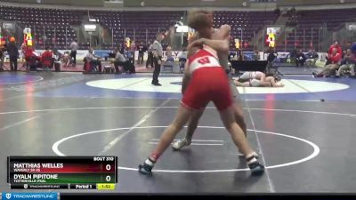 189 lbs Quarterfinal - Dyaln Pipitone, Tottenville-PSAL vs Matthias Welles, Waverly Sr HS