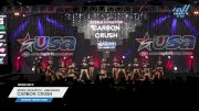 Steele Athletics - Arkansas - Carbon Crush [2024 L4 Senior Coed Day 2] 2024 USA All Star Super Nationals