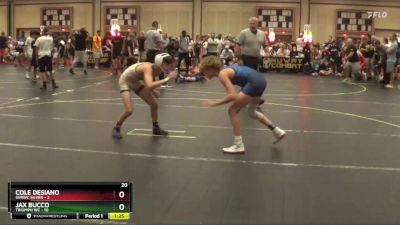 91 lbs Round 2 (6 Team) - Jax Bucco, Triumph WC vs Cole Desiano, SVRWC Silver