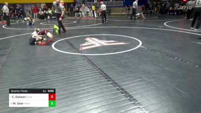 65 lbs Quarterfinal - Connor Dobson, Punxsutawney vs Mason Geer, Parkland