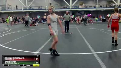 84 lbs Round 3 (8 Team) - Cam Renfer, Mat Assassins Grey vs Dominic DiGirolamo, Doughboys