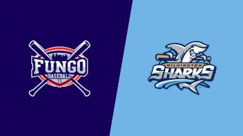 Replay: Demon Deacons vs Sharks - 2021 Fungo vs Sharks | Jul 23 @ 7 PM