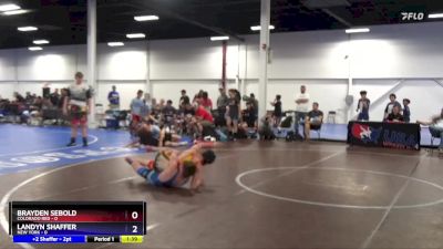 125 lbs Placement Matches (8 Team) - Landyn Shaffer, New York vs Rayce Schriever, Colorado Red