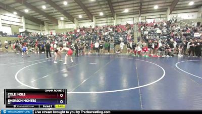 132 lbs Champ. Round 2 - Cole Ingle, ID vs Emerson Montes, AZ