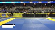 WILLIAM TYLER VERMILYA vs JOSEPH BARROCAS 2024 Pan Jiu Jitsu IBJJF Championship